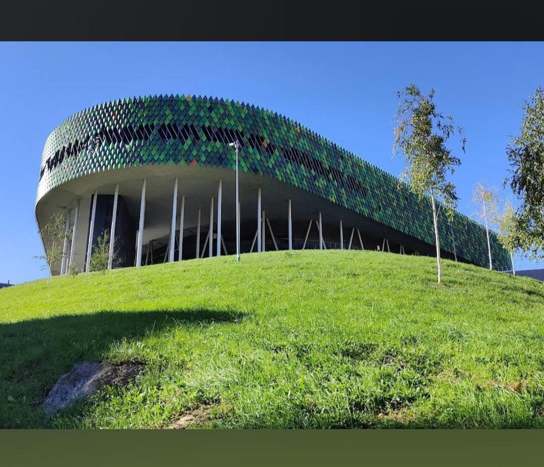 Bonito Apartamento En Zamakola Bilbao Exterior foto